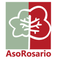 descarga